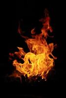 Fire on black background photo