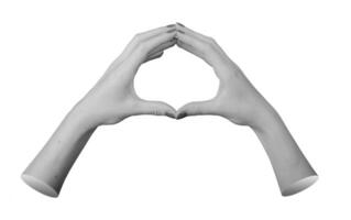 two hands forming a circular shape with the fingers and thumbs touching, creating a circle, isolated photo