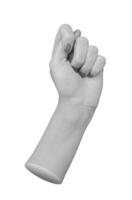 Female hand in a closed fist, thumb placed between index and middle finger, displaying the fig photo
