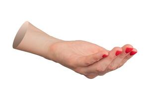 Female hand front view isolated. Loosely curled fingers, cupped gesture with red polished nails, photo