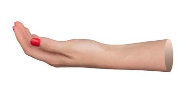 female hand with red-painted nails, positioned in an open cupping gesture and isolated on a white photo