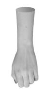 Grayscale female fist, isolated and closed, with bent wrist in monochrome. Dorsal view of hand and photo