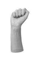 clenched fist raised in a gesture of protest and unity, symbolizing strength and social activism. photo