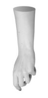 Grayscale hand and arm in relaxed, curled pose, isolated in artistic monochrome. Dorsal view of photo
