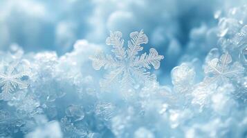 Artwork with the wonderful transparent-white snowflakes repeated in a subtle, thin, and delicate shape on light blue background photo