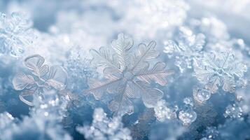 Artwork with the wonderful transparent-white snowflakes repeated in a subtle, thin, and delicate shape on blue background photo