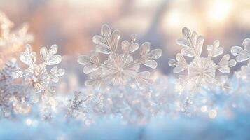 Artwork with the wonderful transparent-white snowflakes repeated in a subtle, thin, and delicate shape on light blue and yellow background photo