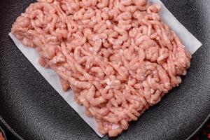 Raw minced chicken with salt, spices and herbs photo