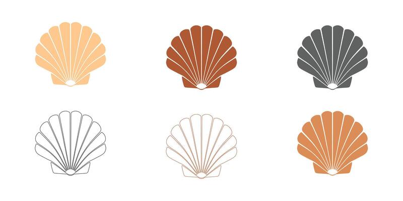 Detailed Sea Shell Illustration with Line Art