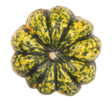Vibrant green and yellow pumpkin with unique speckled pattern, on transparent background. Top view. Perfect for autumn, Halloween, harvest themes, and culinary visuals. High angle view, flat lay. png