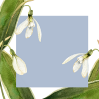 Spring first flowers square frame with space for text on colorful background. Hand drawn botanical banner for Women's dat greeting card, party invitation, packing design. Romantic petal floral element png