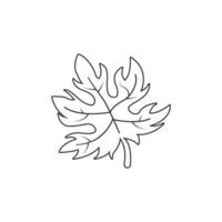 A leaf outline drawing on a white background vector
