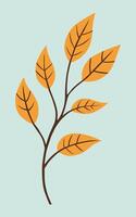 Illustration of Branch and Leaf Design with Plain Background vector