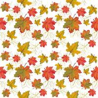 leaf seamless pattern vector