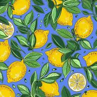 a lemon tree with leaves on blue background vector