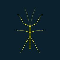 Walkingstick insect trendy artwork delightful abstract illustration colorful practical design vector
