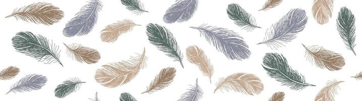 Feathers pattern on white background, Hand drawn sketch style. vector