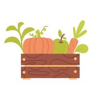 Vegetables in a wooden box isolated on a white background vector