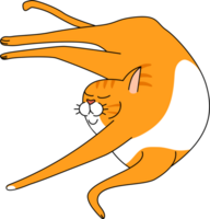 an lazy cat lying on its back png
