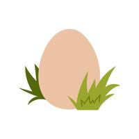 Chicken egg in green grass. Domestic bird egg in flat style on white background. vector