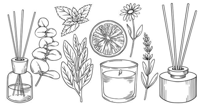 set of aroma diffusers with sticks and candles. illustration in sketch style. vector