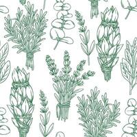 seamless pattern with herbs, rosemary, lavender, sage. image in sketch style. vector