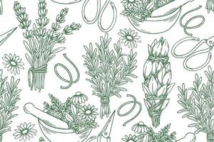 seamless pattern with herbs, rosemary, lavender, sage. illustration in sketch style. vector
