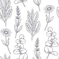 seamless pattern with herbs, chamomile, lavender, sage, eucalyptus. illustration in sketch style. vector