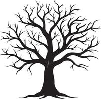 Bare Tree Silhouette with Sprawling Branches in Black and White vector