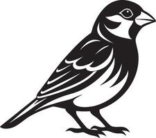 Classic Sparrow Bird Illustration in Monochrome vector