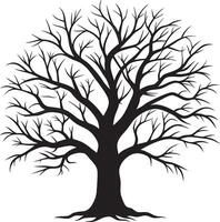 Leafless Tree Silhouette with Intricate Branch Details vector
