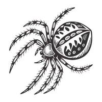 A spider is drawn in a black and white style vector