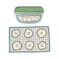 Sliced dry fruits or vegetables on metal grid rack and in plastic container. Dehydrated food preparation process, storage step. Home canning concept. Hand drawn doodle style illustration. vector