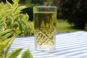 Clear drink in a tall glass on striped tablecloth in summer garden close-up. photo