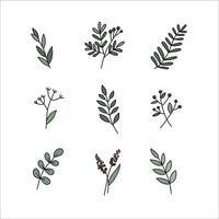 Set of hand-drawn outline flowers. Contour of flowers, twigs, leaves, bouquets, field grass isolated objects on a white background. Perfect for invitations, decor, greeting cards, tattoos, prints. vector