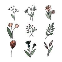 Floral and herbal set. Graphic collection with fantasy field herbs. Hand drawn elements. Botanical elements for design on a white background. Sketch of branch, foliage,leaves, berries. vector