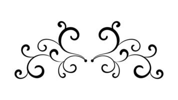 Curly divider. Design element isolated on white background. vector