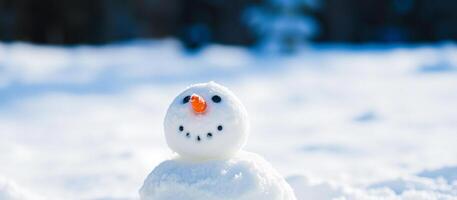 Close-up of a snowman's face in the snow photo