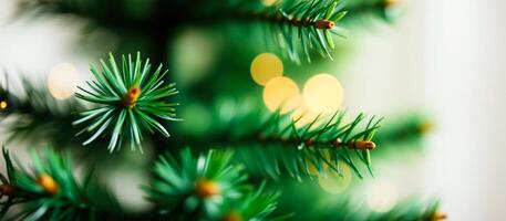Close-up of a Green Pine Branch with Blurred Bokeh Background photo