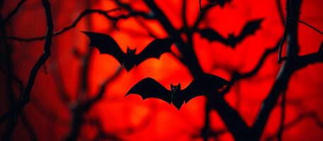black paper bats silhouetted against a red background photo
