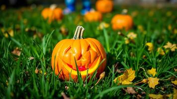 smiling pumpkin rests on a patch autumn grass photo
