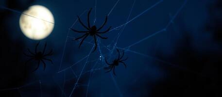 three black spiders on a web under a hazy moon photo