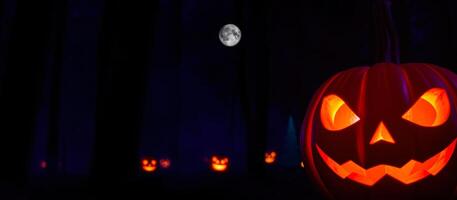 brillante Jack-o'-lantern soportes el luz de la luna foto