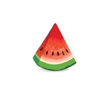 Fresh watermelon cross section in realistic style vector