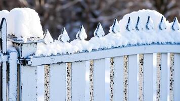 snow-covered metal fence with sharp points photo
