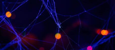 spider web shimmers under colorful lights photo