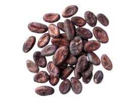 Dried cocoa beanss. Isolated png