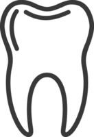 Line drawing of a single tooth vector