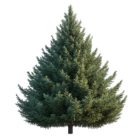 3D Christmas Tree on Transparent Background png