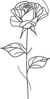 A rose is drawn in black and white on a white background vector